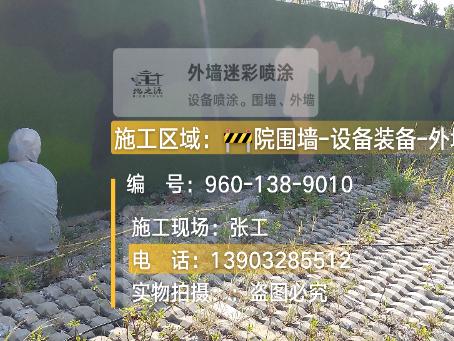 昭通外墙迷彩漆材料价约 45-60 元 /k