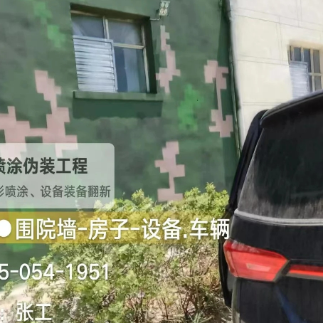 昭通数码迷彩漆施工